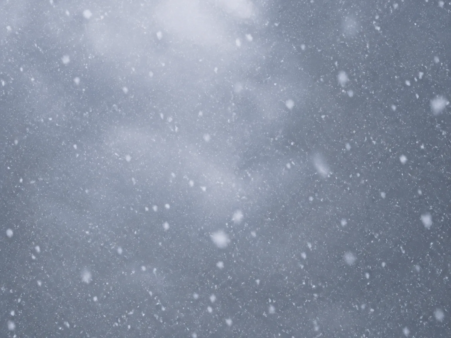 Option C: 天在下雪